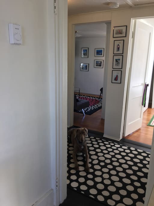 Entry Hall