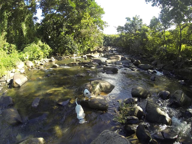 Guest favorite listing in Rio Grande
