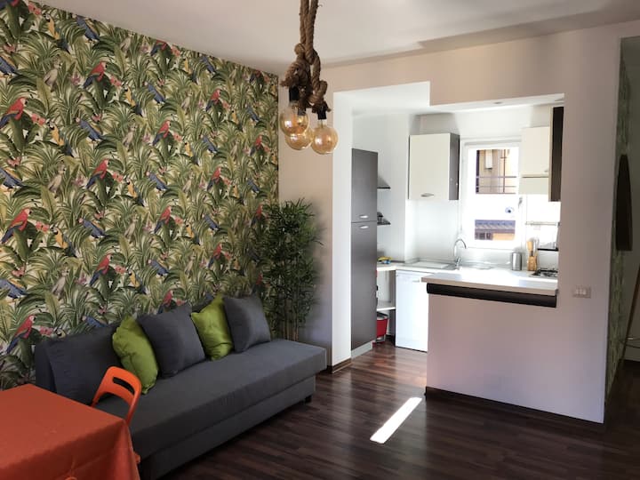 N.5 Apartments for Rent in Sesto Calende
