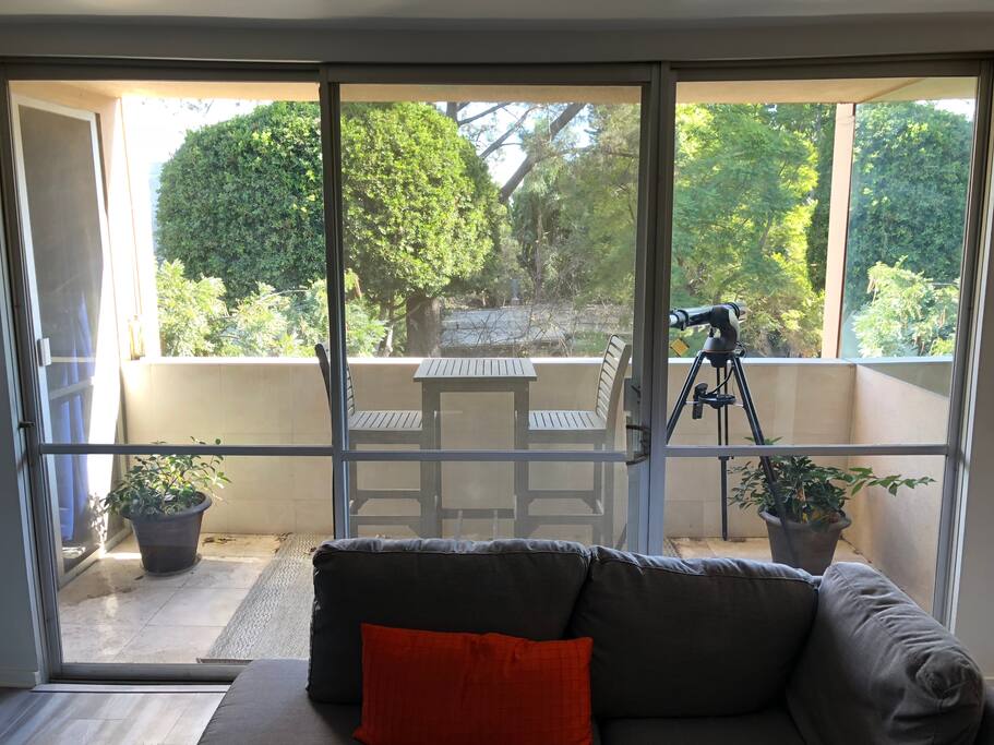 Balcony with treetop views