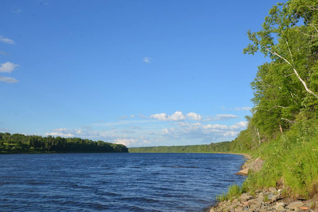 View North from shoreline.