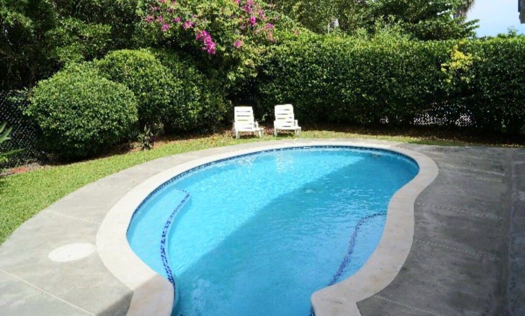 A private pool is set within a landscaped garden, surrounded by lush green shrubbery. Two lounge chairs are placed beside the water, offering a space for relaxation. The pool's gently curved edge and clear blue water create a tranquil setting for enjoyment.