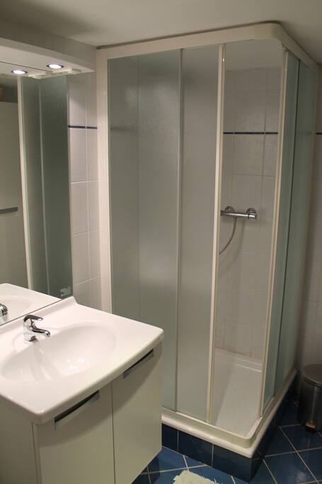 Badkamer met douche