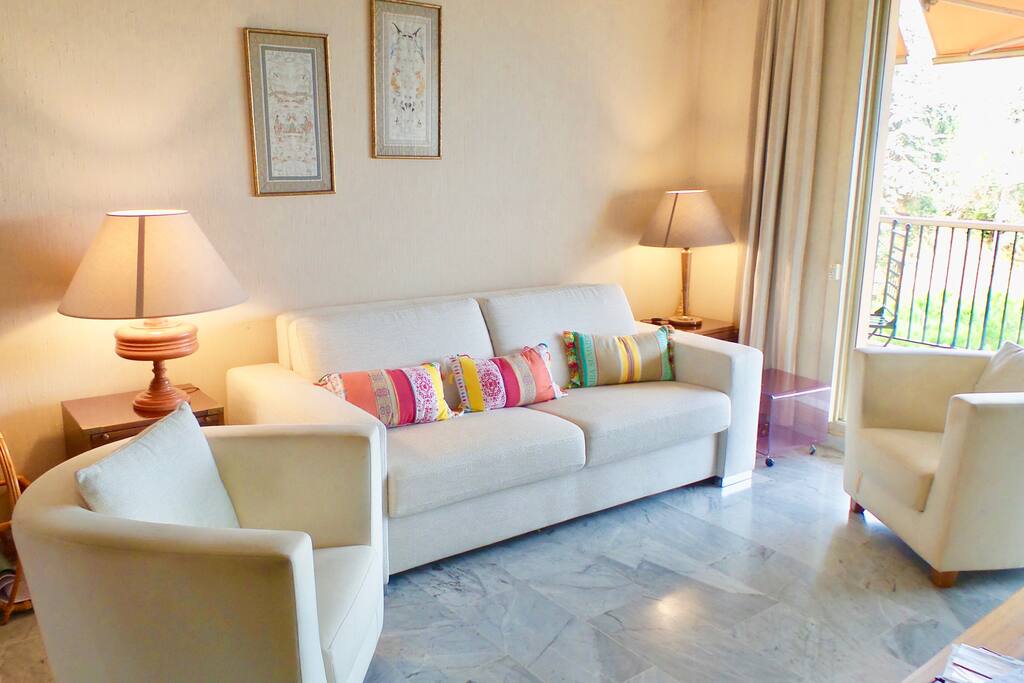 Living room with very comfortable sofas. One is a sleeping sofa.