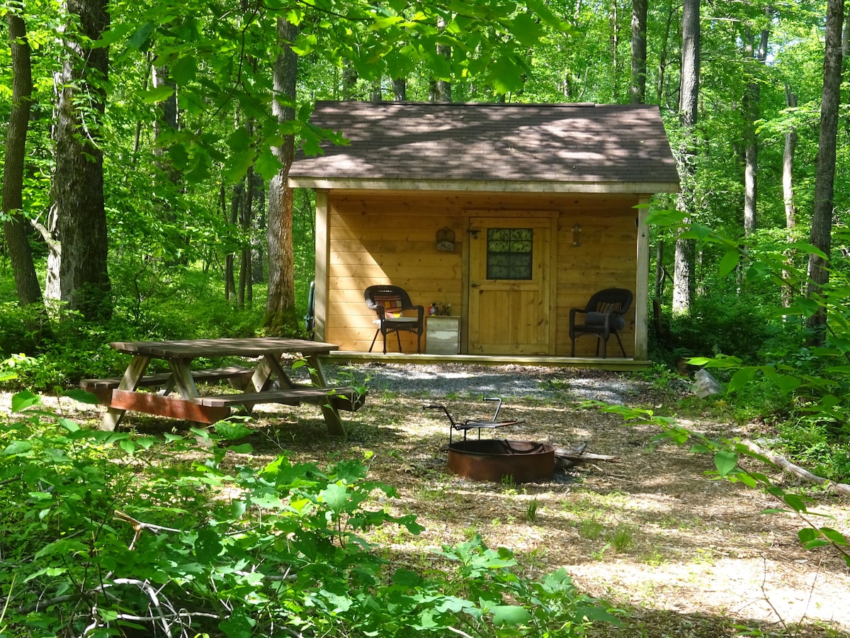 A wooden glamping hut is nestled among lush greenery, with a picnic table and chairs positioned nearby. A fire ring sits in front of the hut, surrounded by a gravel area. Dense trees provide a serene backdrop to the inviting outdoor space.
