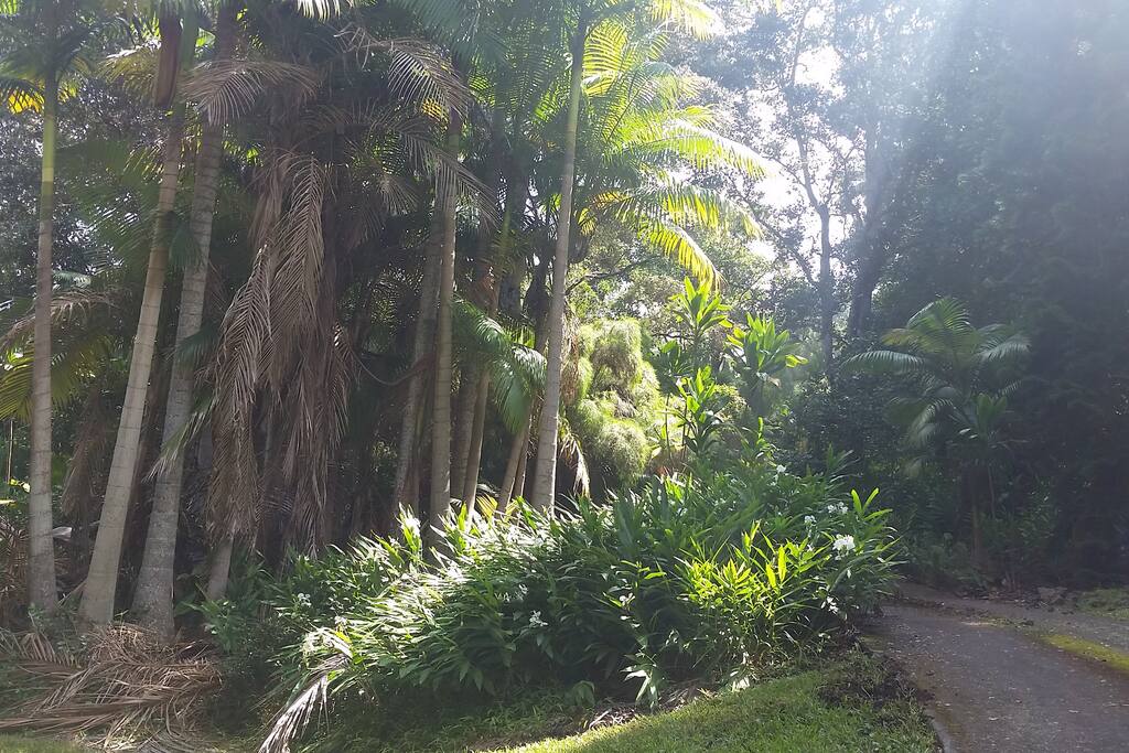 Our driveway!