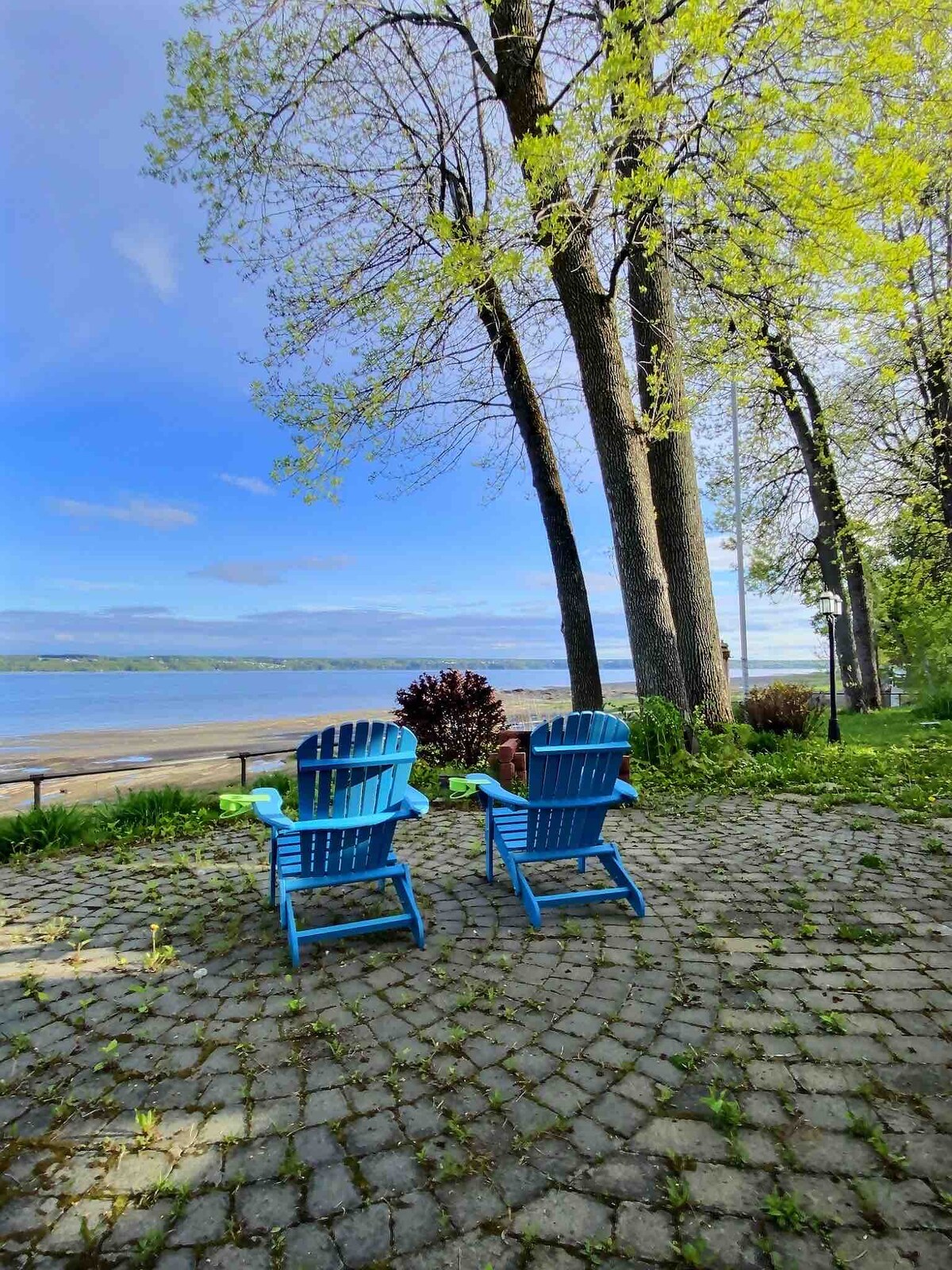 Two blue Adirondack chairs are positioned on a cobblestone patio, overlooking the river. Lush green trees provide shade, while the water glistens in the distance under a clear sky. The natural surroundings create a peaceful outdoor setting for relaxation.