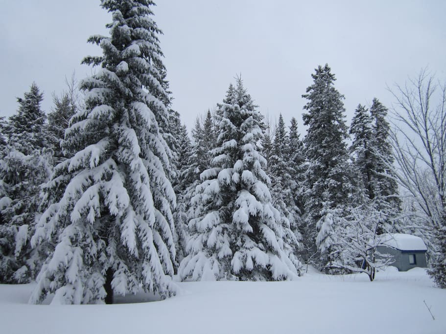 Hiver