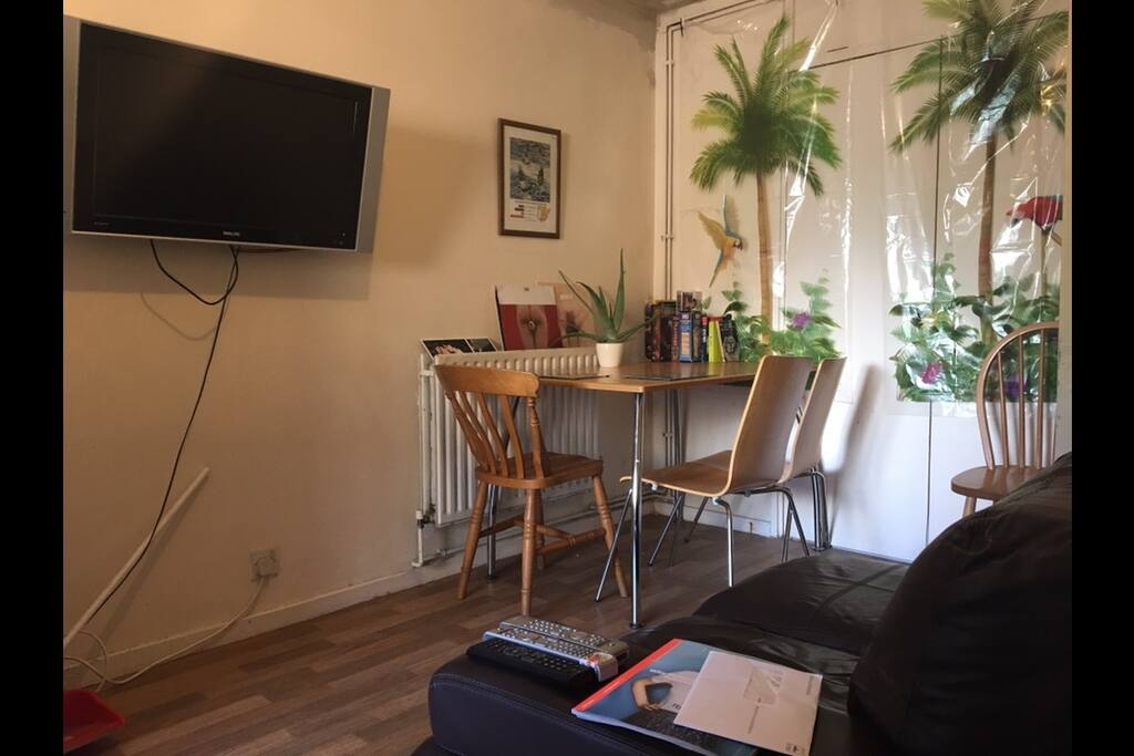 Cozy lounge room