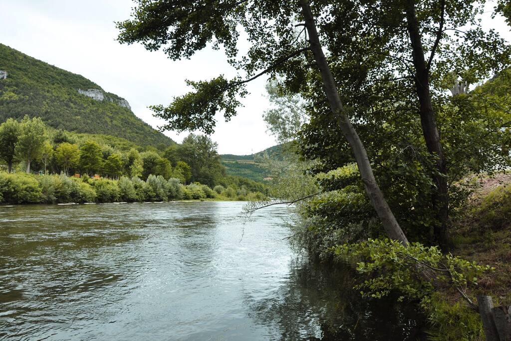 Bords du Tarn.