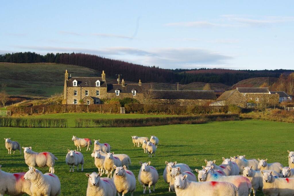 The Dairy Cottage, Ardnacross Cottages for Rent in Ardnacross Farm
