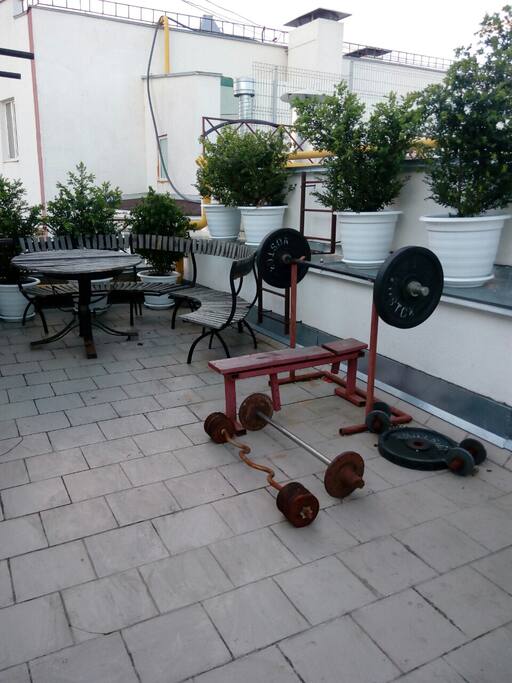 TERRACE GYM