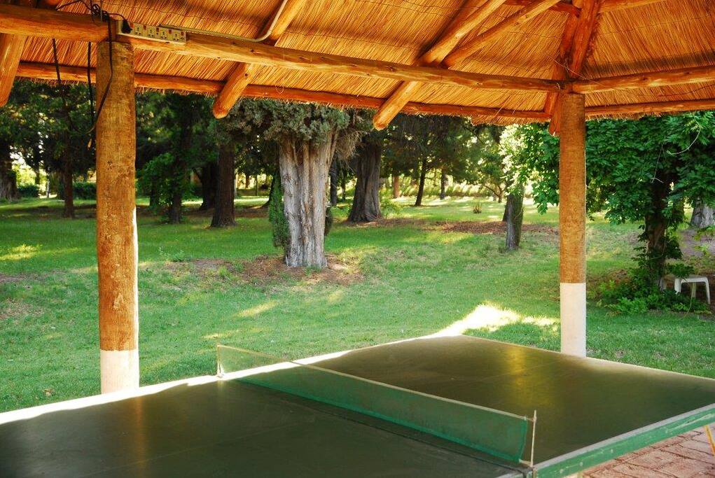 Table tennis