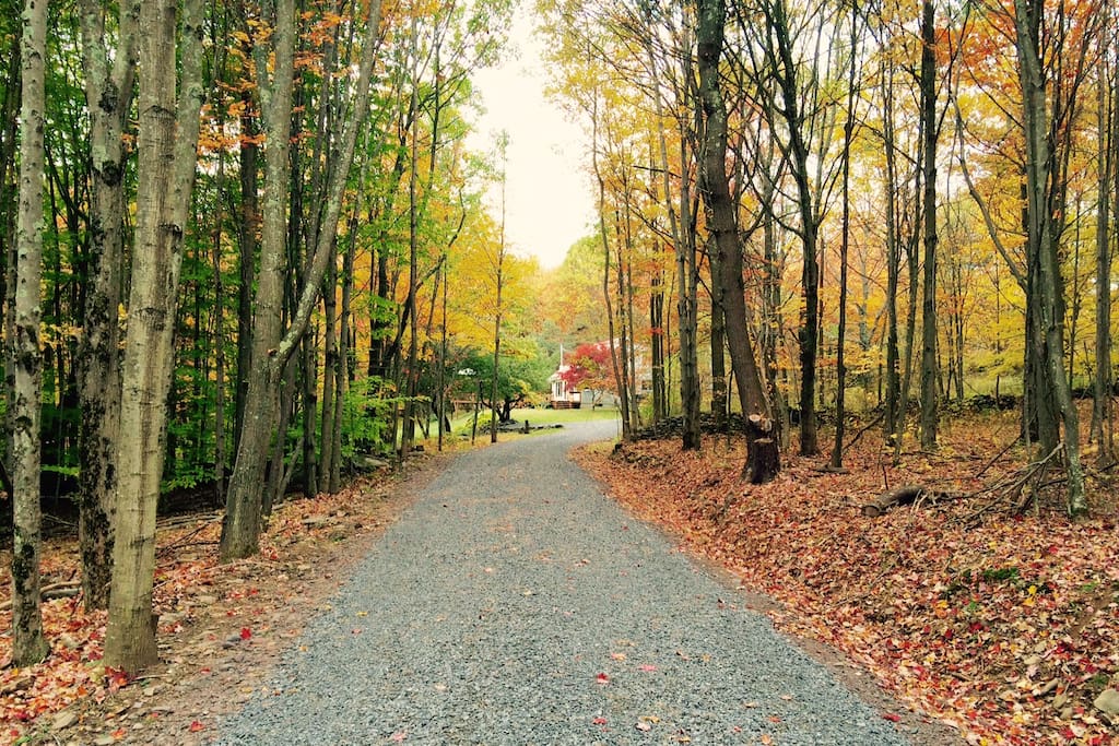 Private driveway leads you up through the woods to the house (home not visible from road)