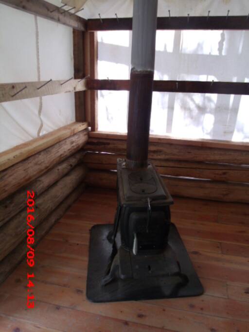 Wood burning/cooking stove