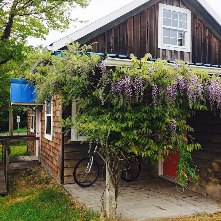 Port Clements Vacation Rentals & Homes British Columbia, Canada Airbnb