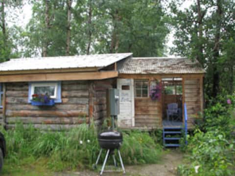 Successful Airbnb property: Fun and funky Blue Moon Cabin in Talkeetna
