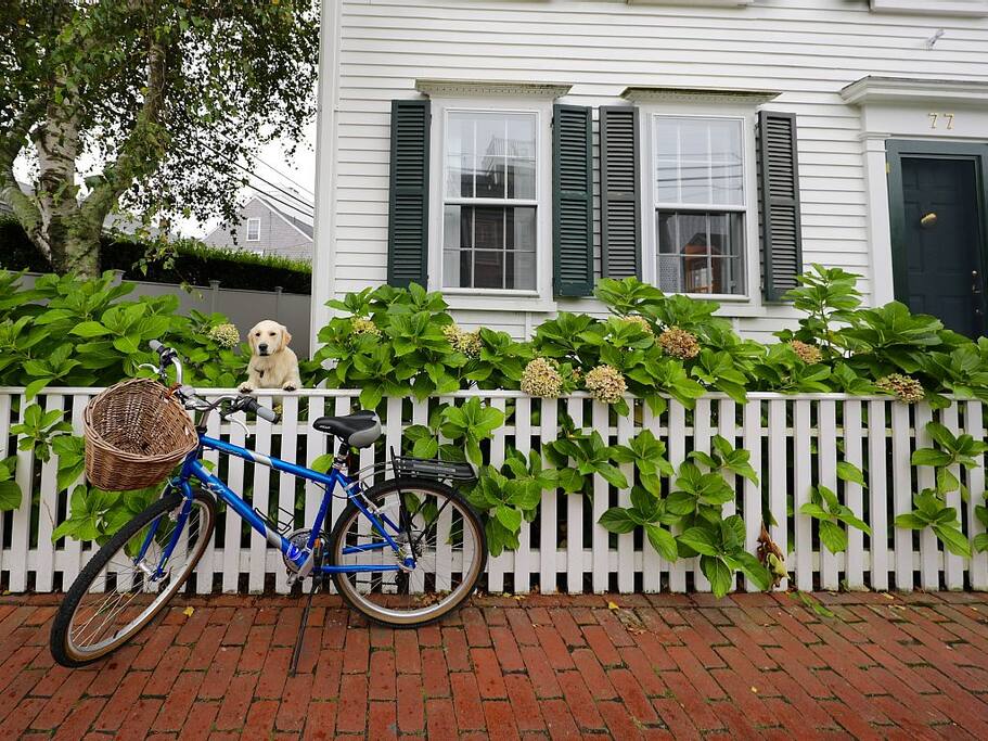Bikes included with rental to explore the island