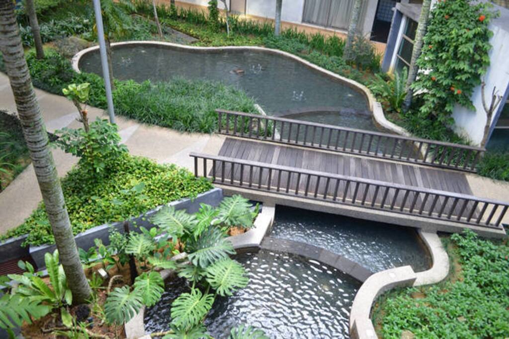 Garden view