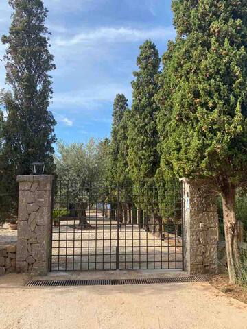 Exclusive Location with direct access to the Sea gallery image 5