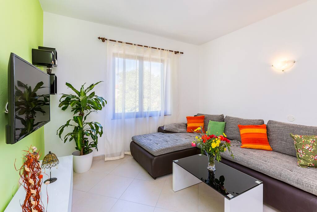 Living room with sofa bed