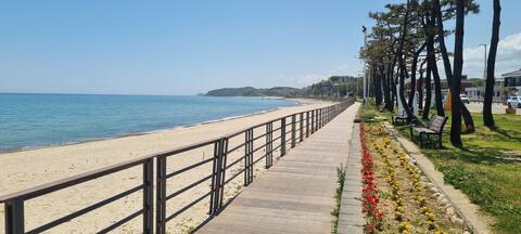 Mulchi Surf Beach /BBQ/Seorak National Park