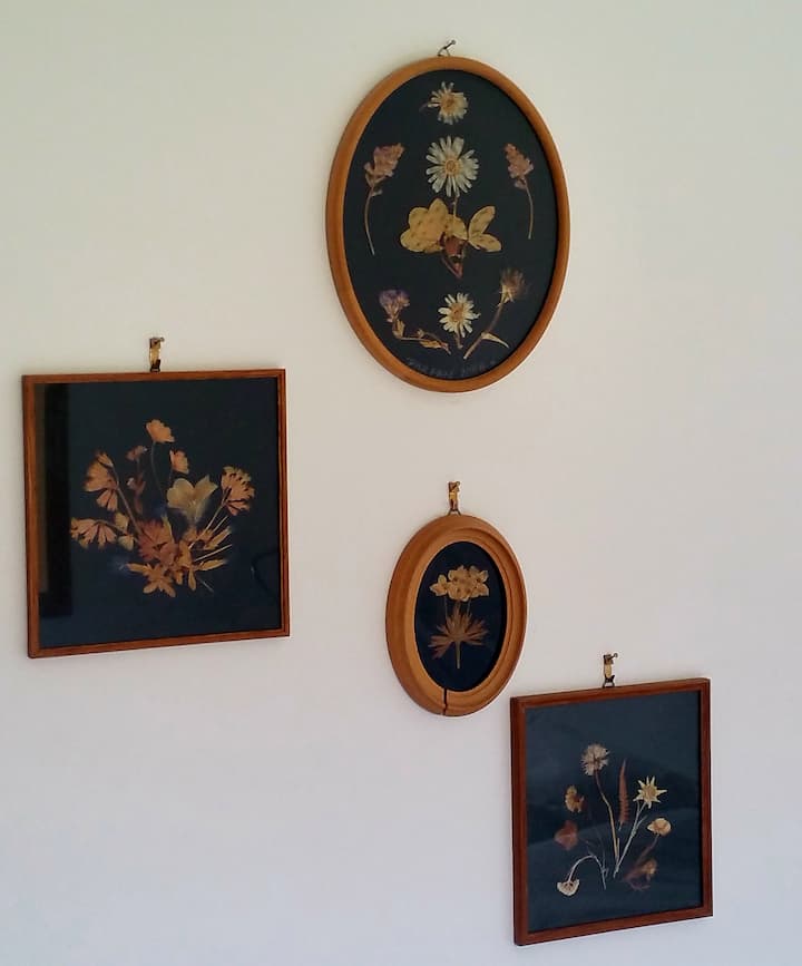 Détails décoratifs botaniques dans l'appartement