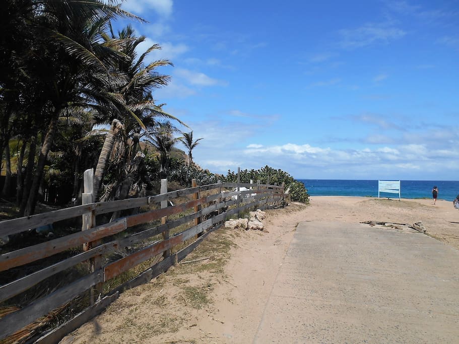 lieu sauvage sur la côte atlantique de l'île. Plage de Grande Anse non autorisée à la baignade mais conduisant à l'Anse Rodrigue (jolie plage)