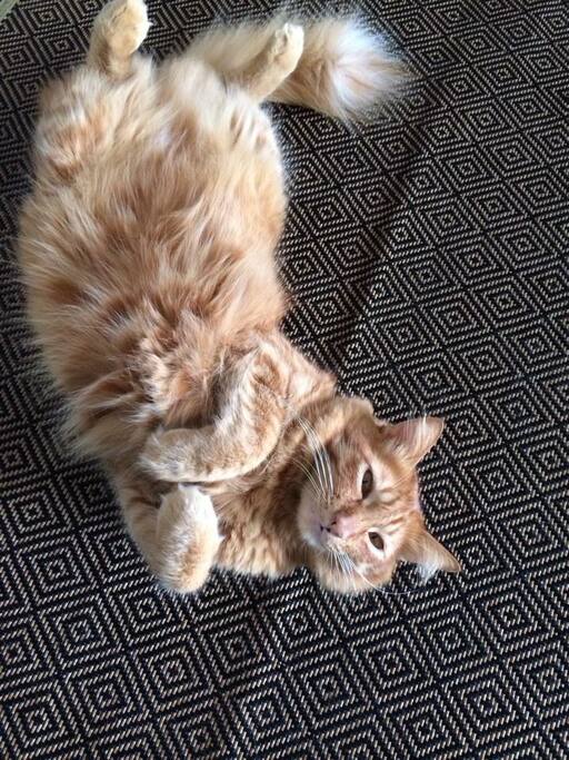 How could you even say no?