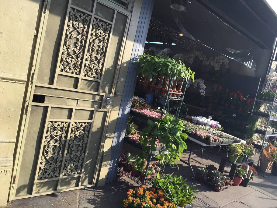 House is located on Top of Flower Shops.
