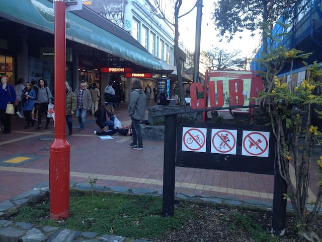 Room 1 in Cuba Street Apartment