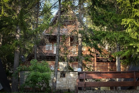 Vlasic Cabin