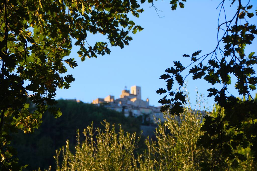 the view from the terrace