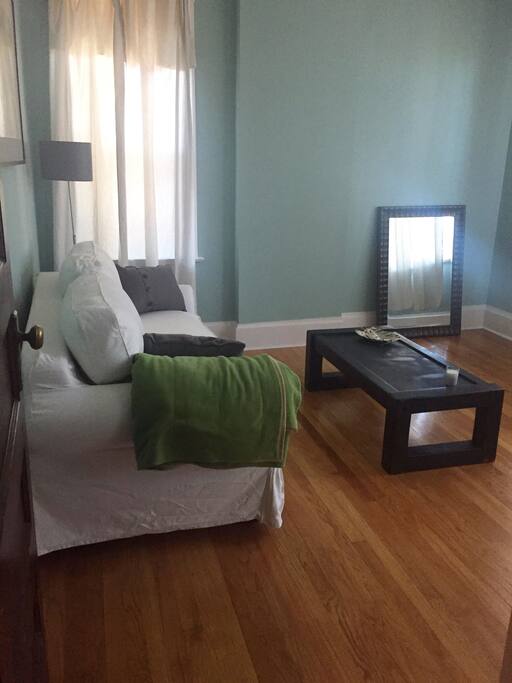 Guest Room with pull out sofa