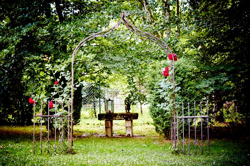 Gartendetail