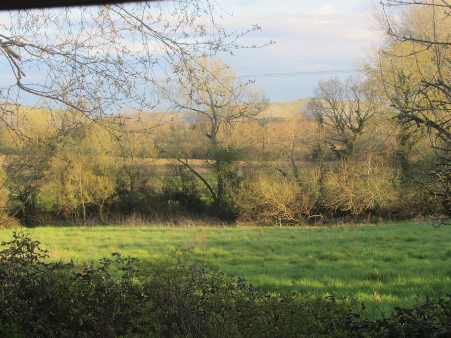 The view from the kitchen in winter