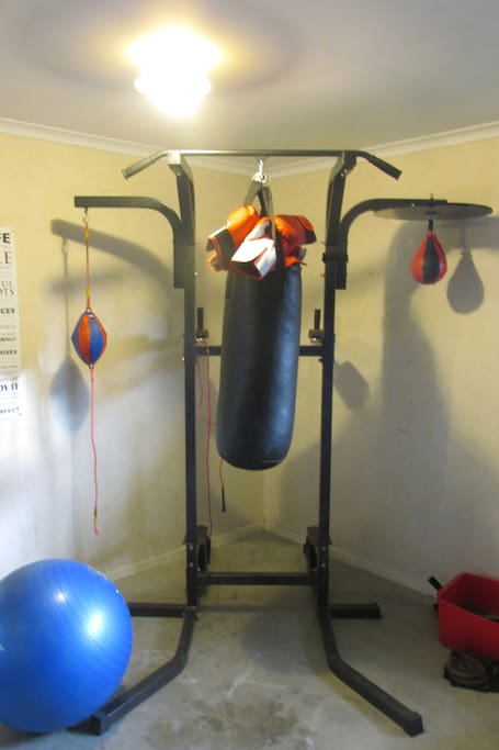 boxing bag, speed ball, gloves