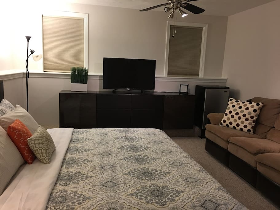 TV & Refrigerator