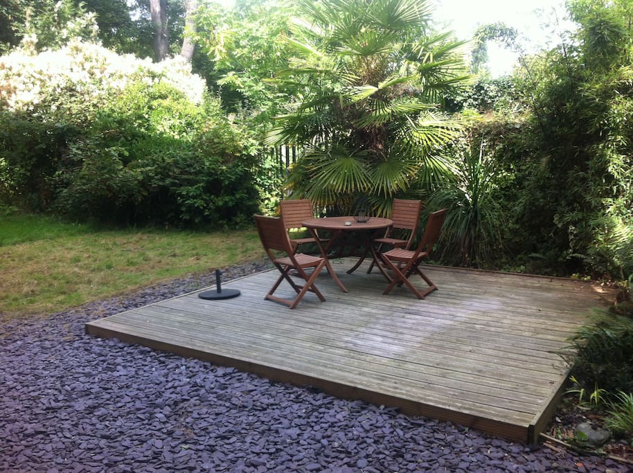 Back Garden