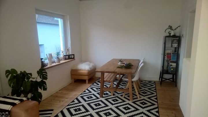 Altbau-wohnung Im Erholungsgebiet Quelle - Bielefeld