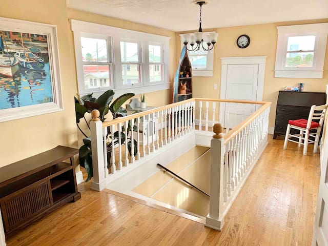 Spacious Hyde Park Bungalow in Heart of Tampa