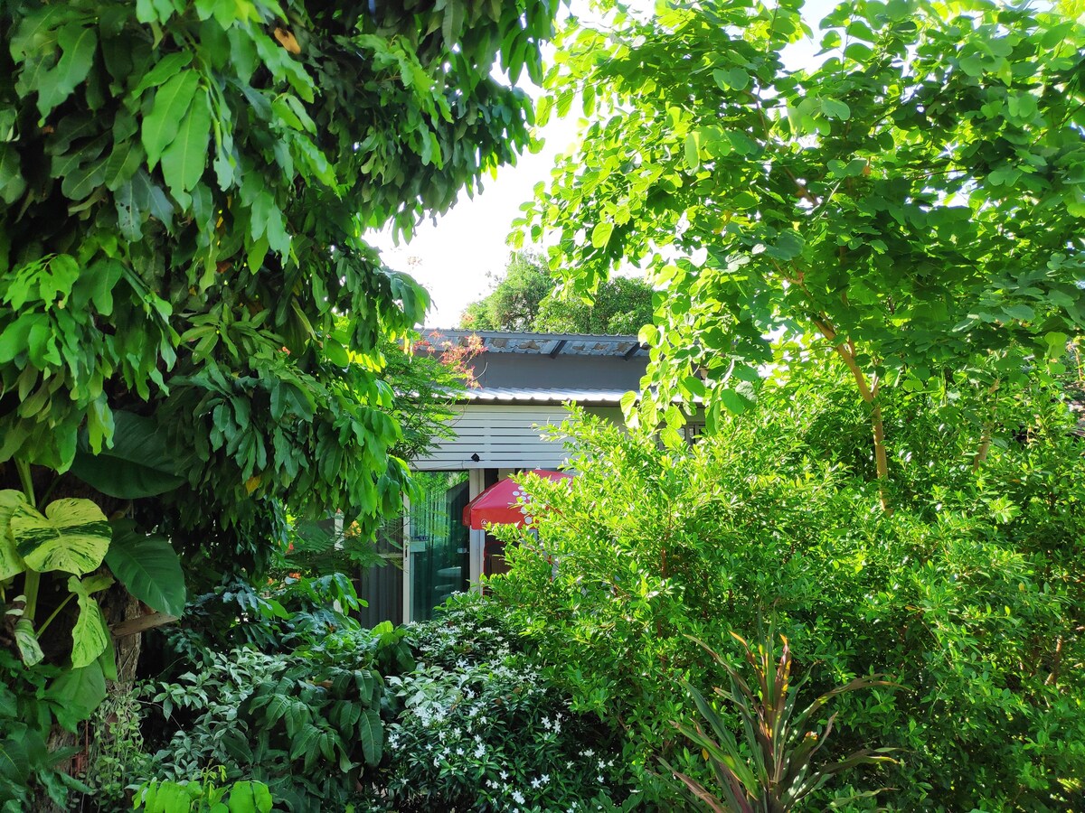 Surrounded by lush greenery, a cozy cottage is partially visible through foliage. Bright green leaves and tropical plants frame the scene, while a red umbrella adds a vibrant touch to the outdoor area, inviting relaxation in a tranquil, nature-filled environment.