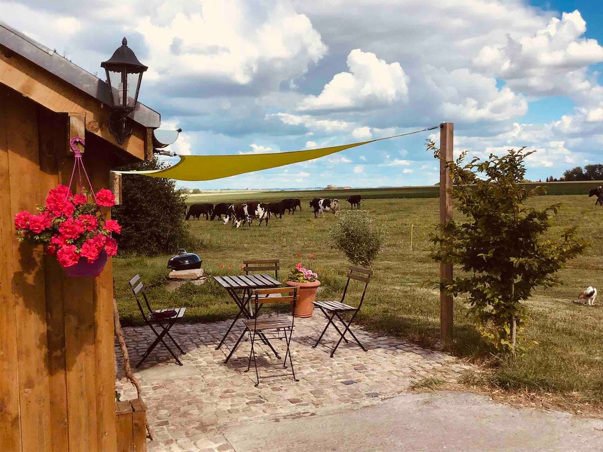 A charming outdoor patio area features a round table and four folding chairs, surrounded by potted plants and vibrant flowers. A gentle breeze rustles the fabric of a sunshade, while cows graze peacefully in the open field under a partly cloudy sky.