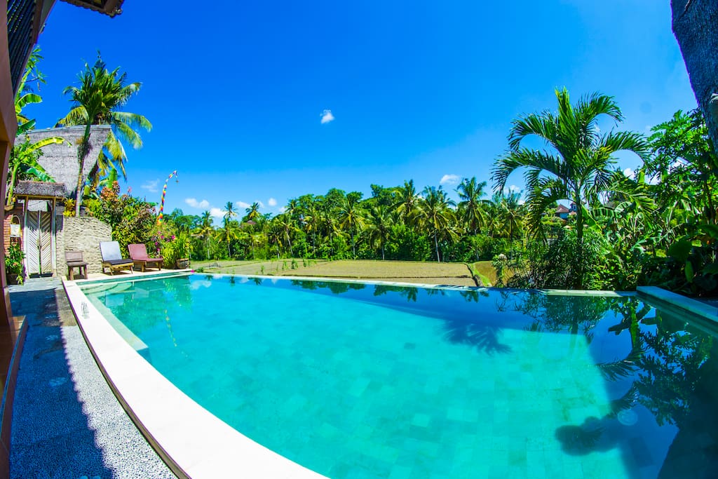 Infinity pool overlooking the rice paddies.