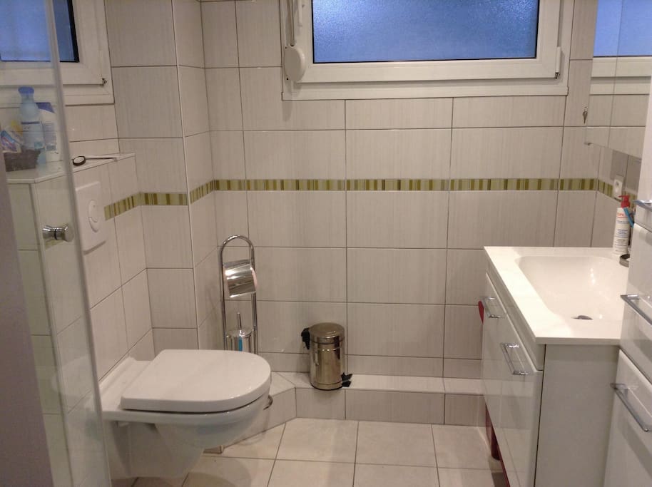 sdb avec douche et wc