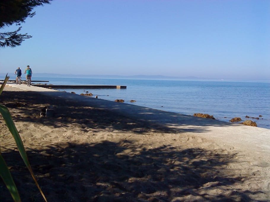 Beach below the house