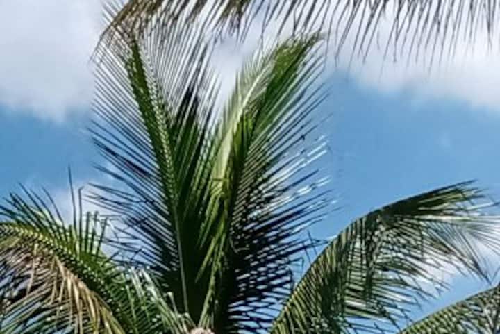 รูป บ้านสไตล์คันทรีพร้อมสระว่ายน้ำใน Campo Grande-RJ 1