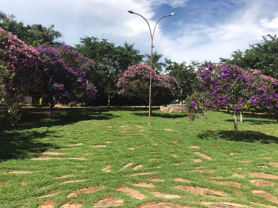 Jardim e fonte