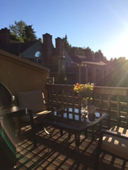 Patio- view 2
