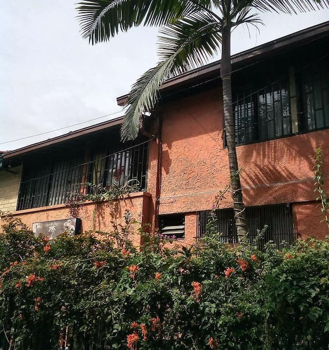 Palm Tree Hostel Medellin ofrece habitaciones privadas y dormitorios confortablemente amoblados. Todas las habitaciones cuentan con cómodos colchones, dos almohadas, toallas y sabanas...
Durante muchos años Palm Tree Hostal ofrece a los viajeros un lugar muy acogedor con un ambiente tranquilo, seguro, precios económicos y un muy buena información acerca de Medellín.
Bienvenidos a Palm Tree Hostal Medellin